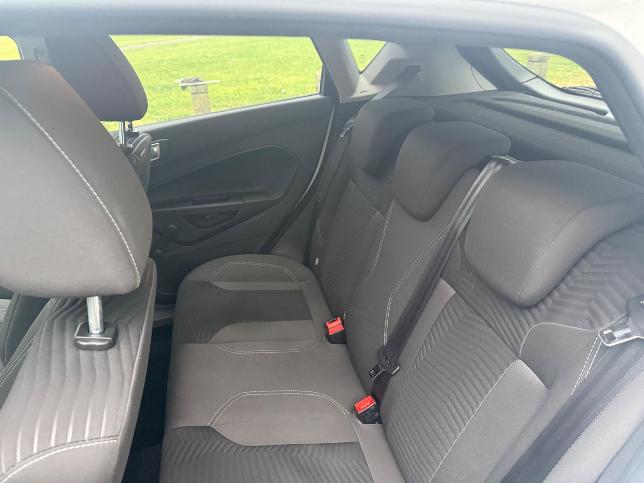 Seats Rear